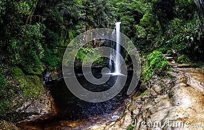 A view of Kaiate Falls in waitao in the western bay of plenty on the north island of new zealand 2 Stock Photo