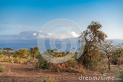 View of the Kilimandjaro mountain Stock Photo