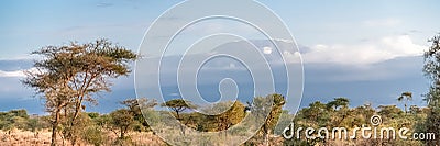 View of the Kilimandjaro mountain Stock Photo