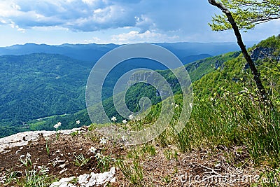 View of Kolpa valley in Slovenia and forest covered slopes above Stock Photo