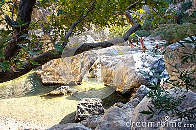 View of Kourtaliotis river and canyon near Preveli beach at Libyan sea, river and palm forest, southern Crete. Editorial Stock Photo