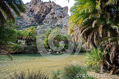 View of Kourtaliotis river and canyon near Preveli beach at Libyan sea, river and palm forest, southern Crete. Stock Photo