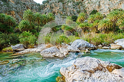 View of Kourtaliotis river and canyon near Preveli beach at Libyan sea, river and palm forest, southern Crete. Stock Photo