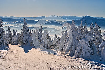 View from Kubinska Hola ski slope during winter Stock Photo