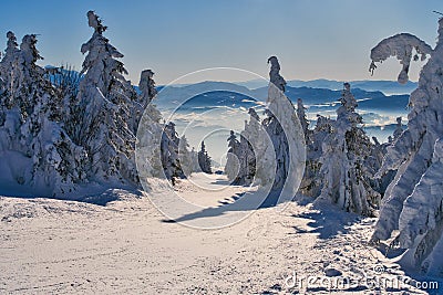 View from Kubinska Hola ski slope during winter Stock Photo