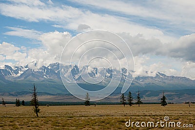 View of the Kuray Range in the summer in the Altai Stock Photo