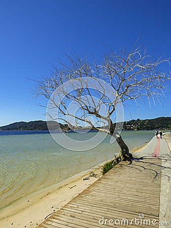 A view of Lagoa da Conceicao in winter - Florianopolis, Brazil Editorial Stock Photo