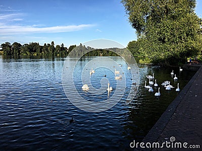 A view of the lake at Ellesmere Stock Photo