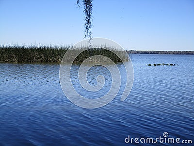 View of Lake Newnan Florida Stock Photo