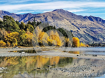 A view on the lake Wanaka in the South Island of New Zealand with reflection of the golden autumn trees in the water Stock Photo