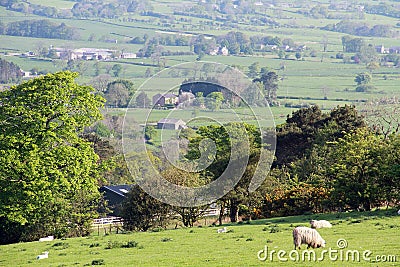 View of Lancashire farmland Stock Photo