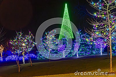View of a Large Drive Thru Christmas Display, With Lots of Colored Lighted Tree, Buildings, Bushes Stock Photo