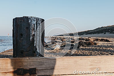 View of a large group of seals basking in the sun by the water on Horsey beach, Norfolk, UK Stock Photo