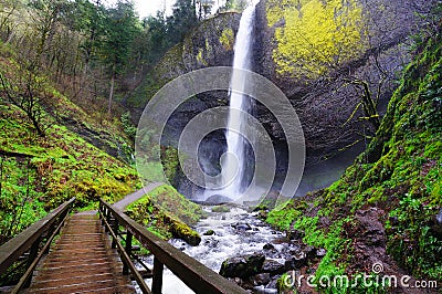 A view of Latourell Falls at Columbia river gorge Stock Photo