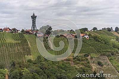 The view of Lendavske Gorice with wine yards Stock Photo