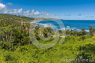 A view looking down towards Bathsheba Beach on the east coast of Barbados Stock Photo