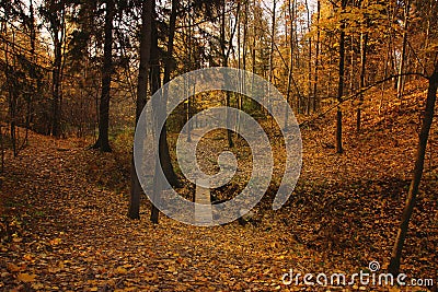 View of the lowland with a bridge in the autumn bright park Stock Photo