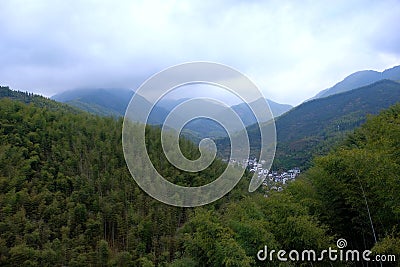 View of luxuriant bamboo forests in Mukeng Zhuhai, Mukeng Village and surrounding hills, in Huangshan City. Editorial Stock Photo