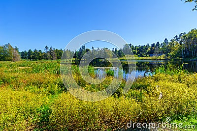 MacLaren pond, in Fundy National Park Stock Photo