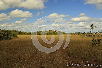 View from the Mahogany Hammock Trail, Everglades National Park Stock Photo