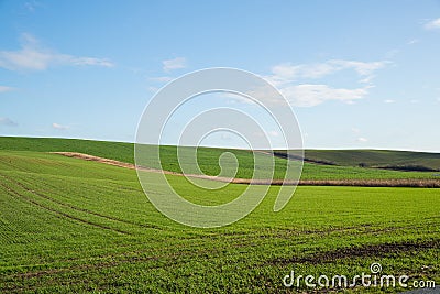 View of the main road leading to vineyards and farms in the Svatoborice region of Moravian Tuscany during a sunny autumn day in Stock Photo