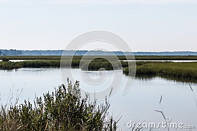 View of Marshlands at Pleasure House Point in Virginia Beach Stock Photo