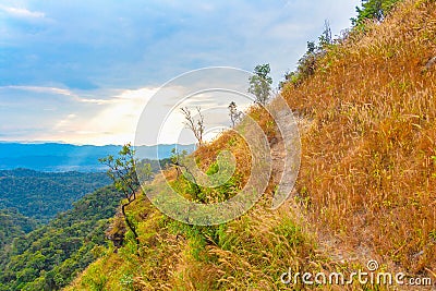 View meadow and mountains. Meadow is fore ground with mountains is background. Stock Photo