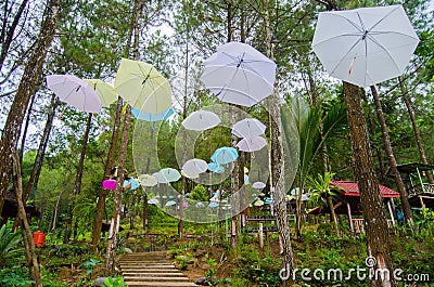 Umbrella and stairs View in the middle of pine forest Stock Photo