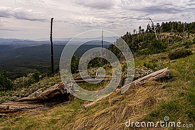 Mogollon Rim Arizona Stock Photo