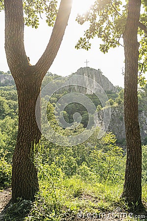 A view of Mokranje rocks between the trees Stock Photo