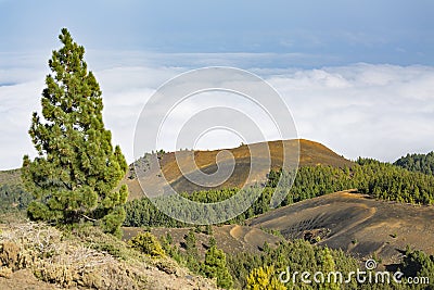 Colorful Volcano Craters, La Palma, Spain Stock Photo