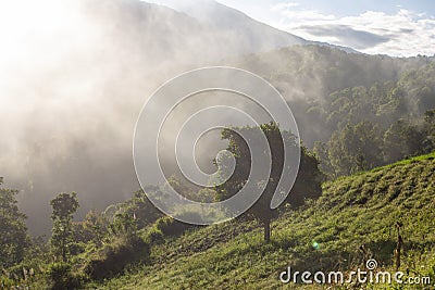 the view of the morning atmosphere at the foot of the mountains and the sun's rays shyly shining on the earth Stock Photo