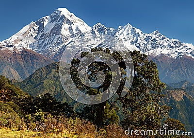 View of mount Dhaulagiri Stock Photo