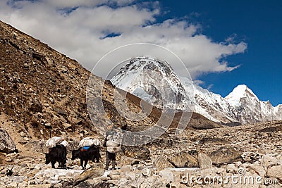 View from the mountain near Lobuche to Lhotse and Nuptse - Nepal, Himalayas Editorial Stock Photo