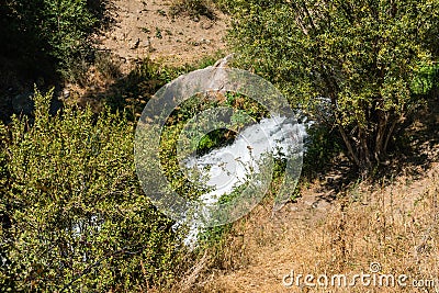 A small mountain river in a gorge among the trees. Stock Photo