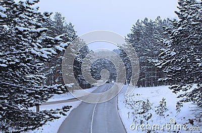 A view on a mountain road on a snowy day. Stock Photo