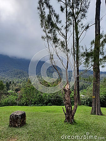 view of the mountain starting to cover the clouds Stock Photo