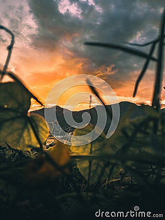 View of the mountain during sunset. Stock Photo