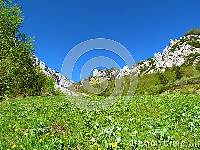 View of mountains above Zelenica in Karawanks mountains, Gorenjska, Slovenia and meadow with dandelion flowers Stock Photo