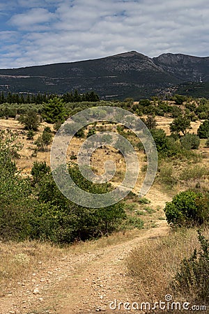 View of the mountains, fields, olive groves and road Stock Photo
