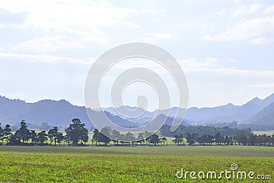 View of mountains jungle and field Stock Photo