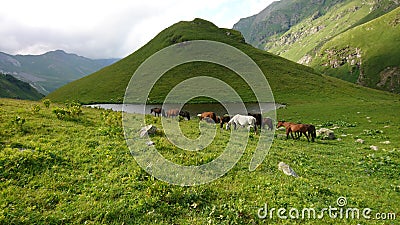 View of the mountains with lake and a herd of horses Stock Photo