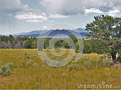 New Mexico`s Santa Fe National Forest Stock Photo