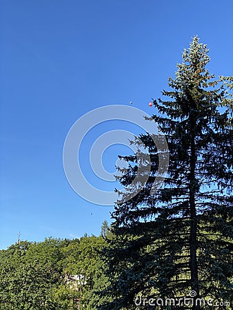 View in the mountains on the sky and mountains covered with forest Stock Photo