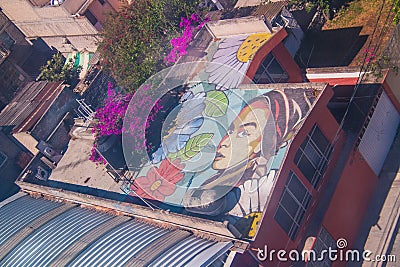 Murals in Iztapalapa Editorial Stock Photo