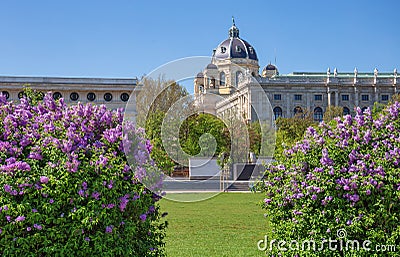 View on a museum from Heldenplatz - Vienna Stock Photo