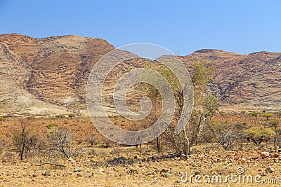 View of the Namib desert. Namib Naukluft National Park, Namibia Stock Photo