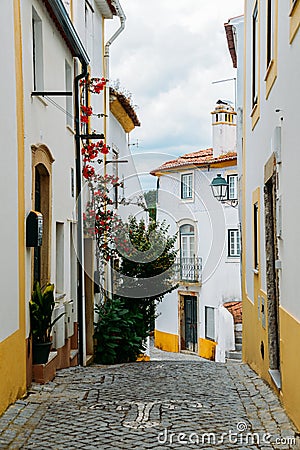 View of narrow paved street in Constancia, Portugal Stock Photo