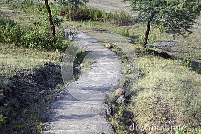 View of a narrow stairway on a hill in a rural area Stock Photo