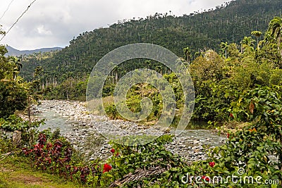 View on national park alejandro de humboldt with river Cuba Stock Photo